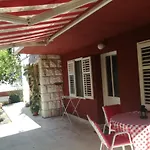 Petrovic Κόρτσουλα