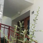 Petrovic * Κόρτσουλα