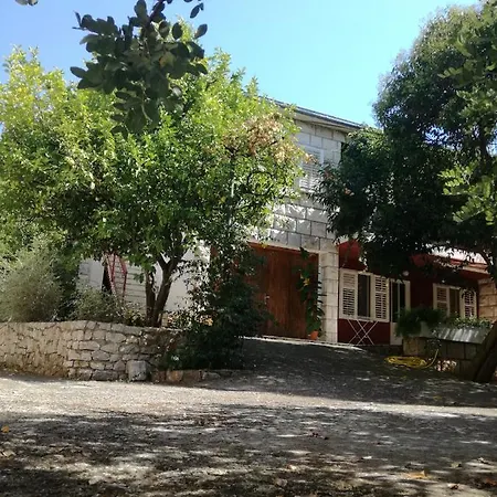 Daire Petrovic Korčula