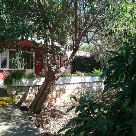 Petrovic * Κόρτσουλα