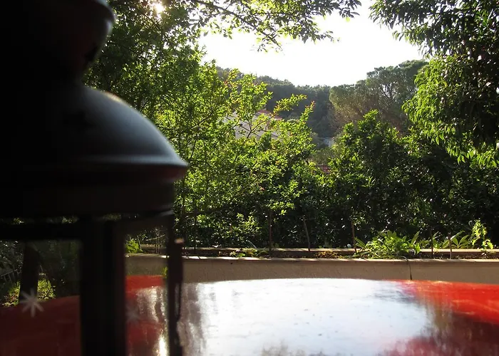 Appartamento Petrovic *